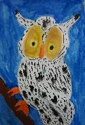 3rd Grade - 1st Place Winner