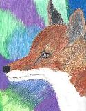 8th Grade Honorable Mention