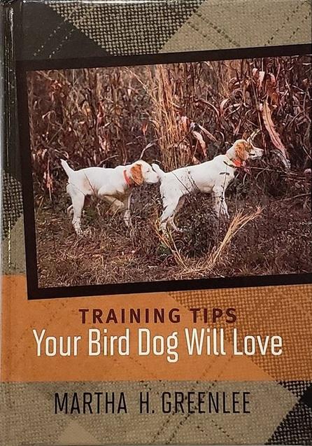 Training Tips Your Bird Dog Will Love